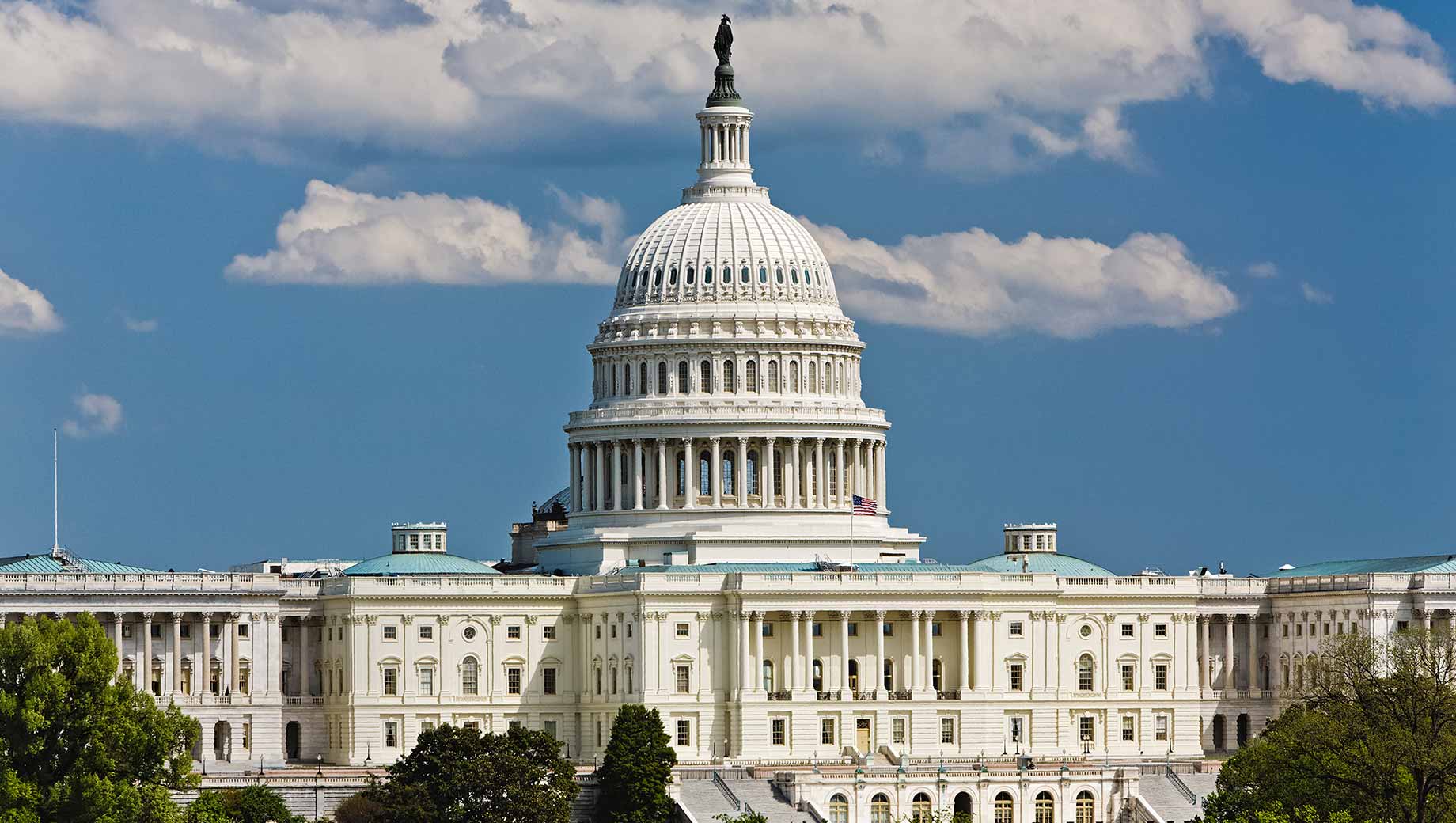 Government